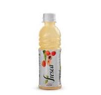 Fresca Litchi Fruit Juice 300ml